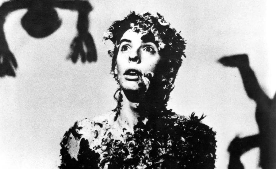 fad gadget tovey feather photography
